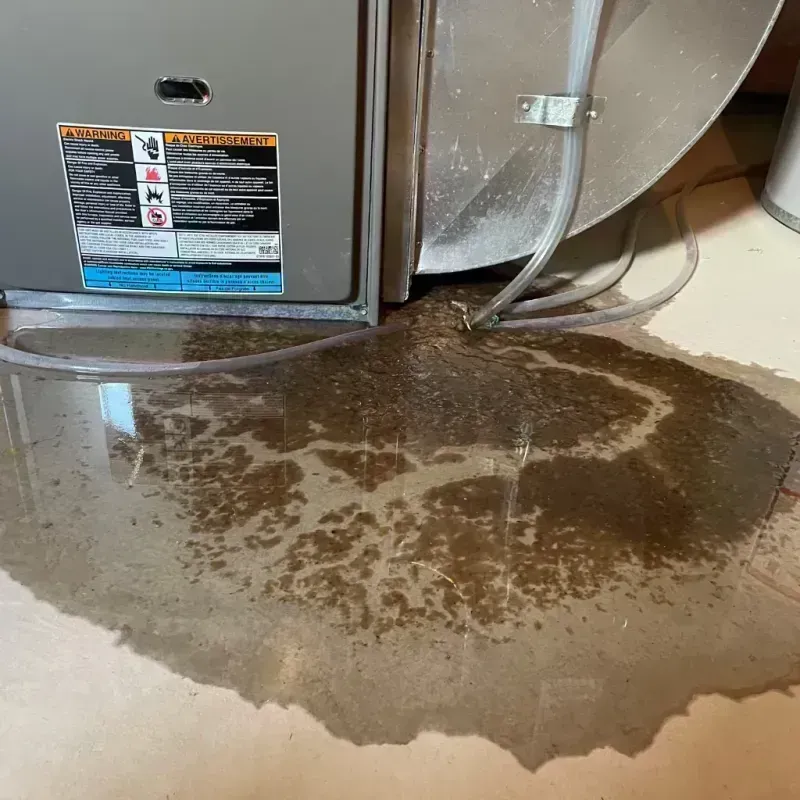 Appliance Leak Cleanup in Paonia, CO